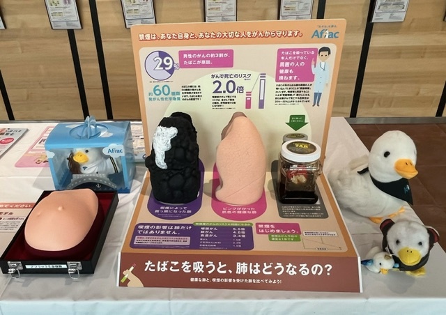 肺模型