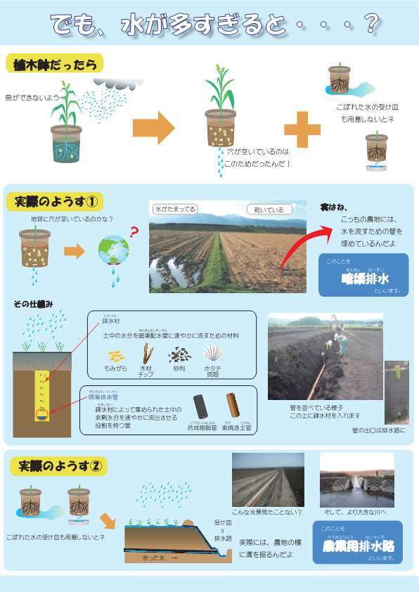 でも、水が多すぎると・・・？
