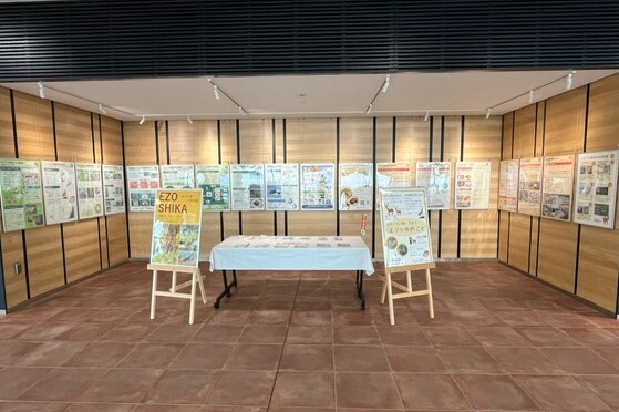 20240527_エゾシカパネル展1.jpeg