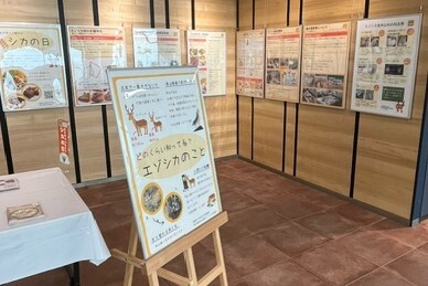 20240527_エゾシカパネル展3.jpeg