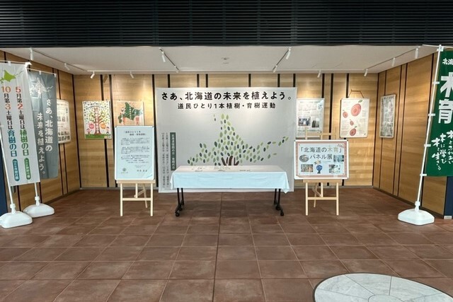 20240708_北海道の木育パネル展1.jpg