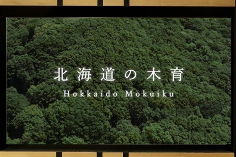 20240708_北海道の木育パネル展4.jpg