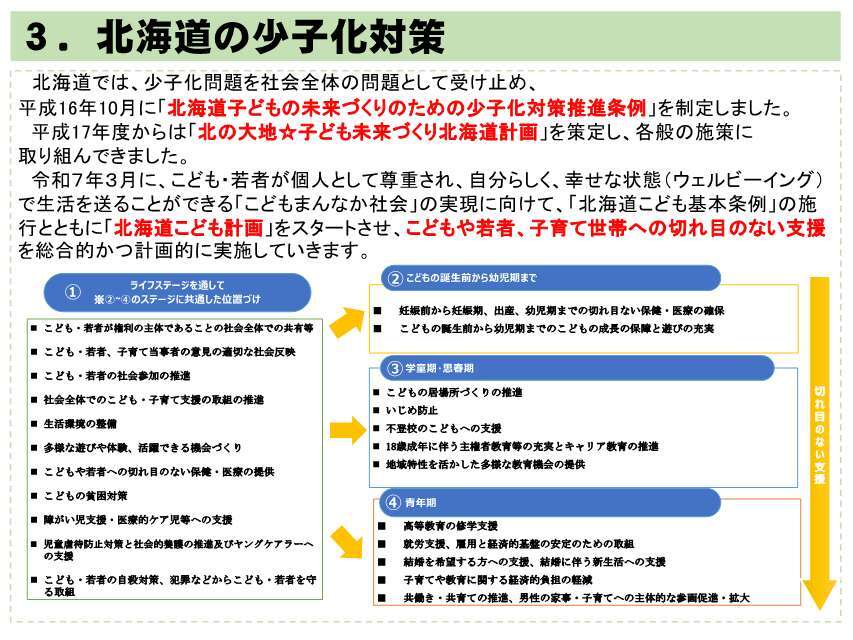 3.北海道の少子化対策