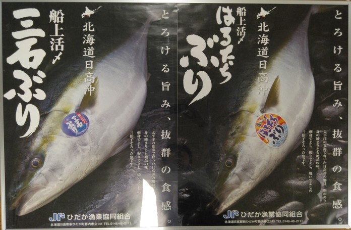 北海道日高沖 船上活〆 はるたちぶり／三石ぶり