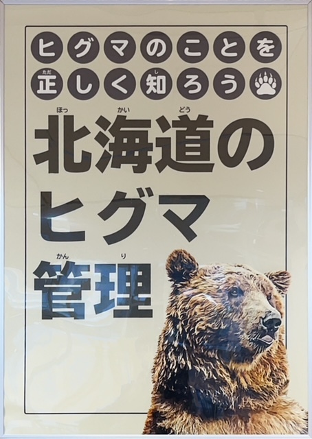 ヒグマのことを正しく知ろう「北海道のヒグマ管理」